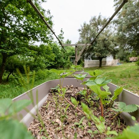 Casa da Eira Lavoura da Bouça - Fruta Bio Vila Celorico De Basto Exterior foto