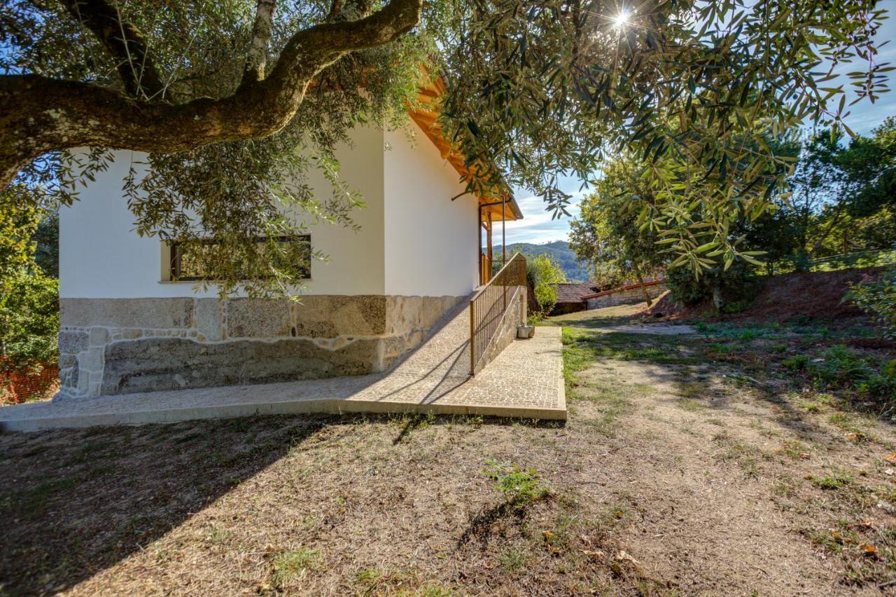 Casa da Eira Lavoura da Bouça - Fruta Bio Vila Celorico De Basto Exterior foto